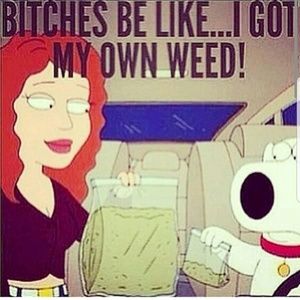 Meet your Posher, Dora